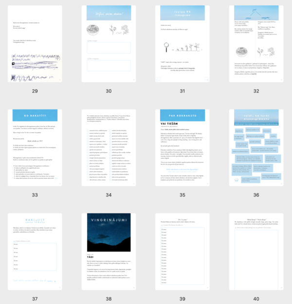 Ceļvedis dienasgrāmatas praksē