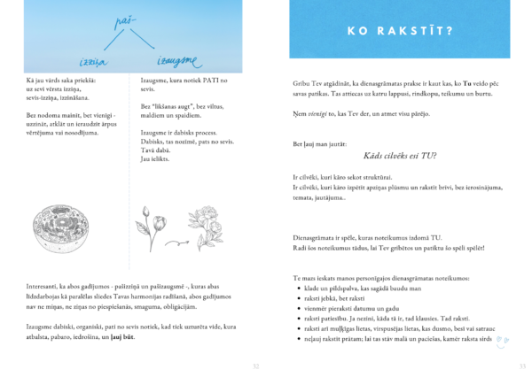 Ceļvedis dienasgrāmatas praksē